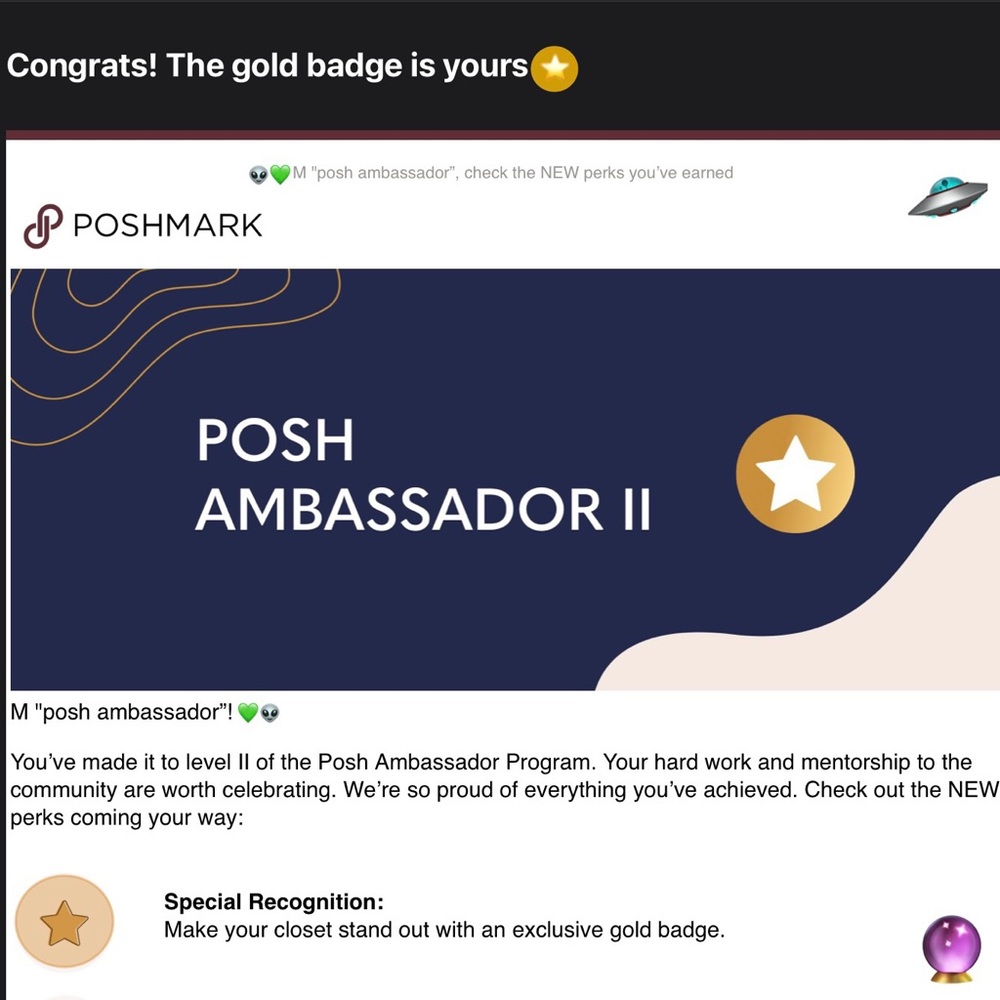 ✴️Ambassador II✴️ - Picture 5 of 9